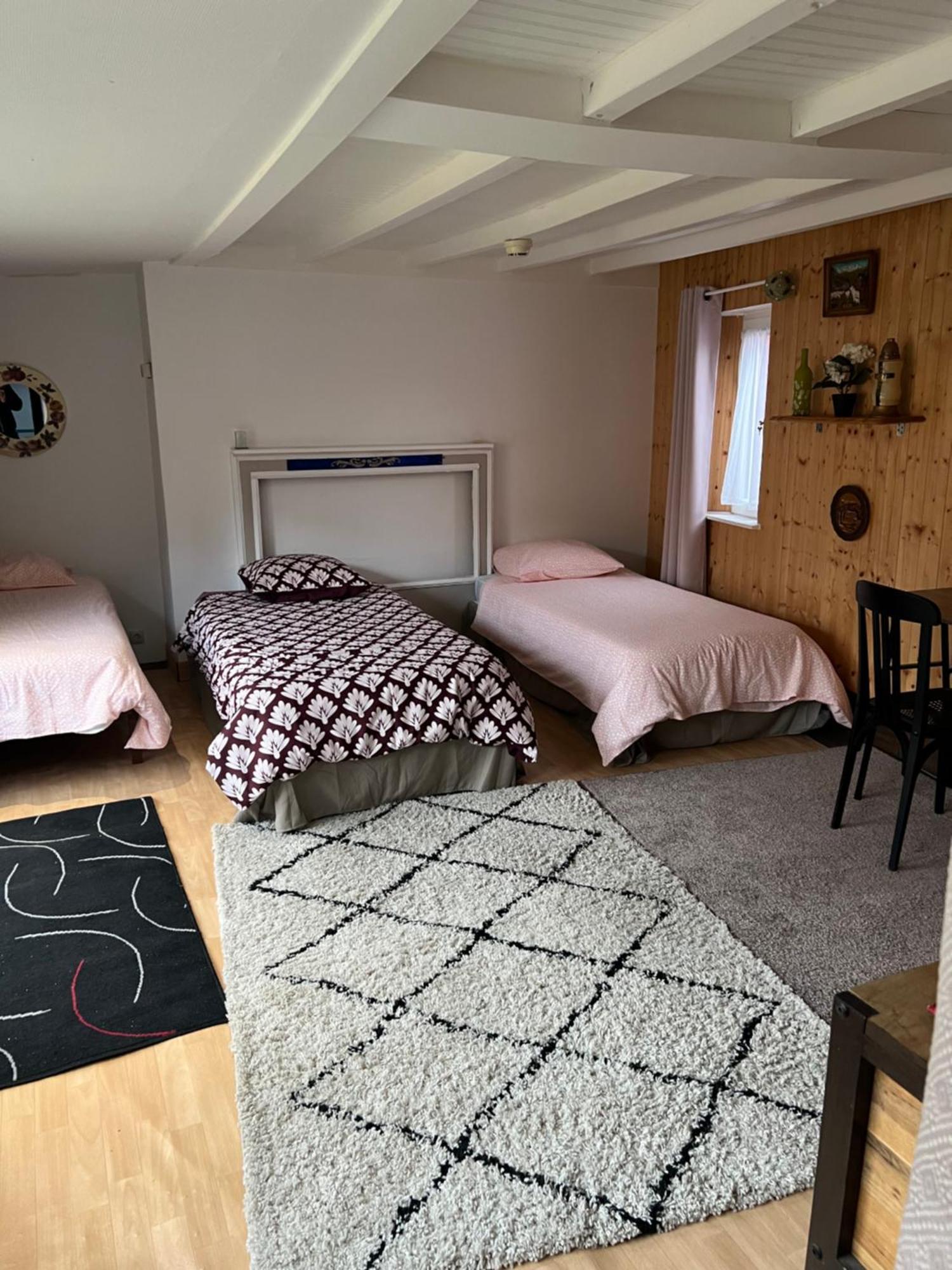 Residence Sainte Therese - La Villa Selva 卢德 外观 照片